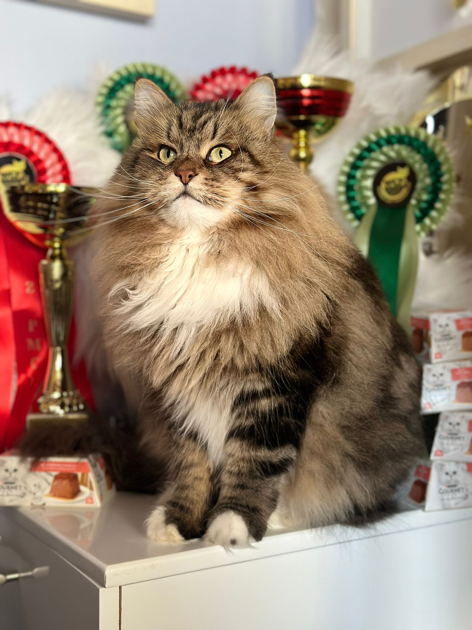 Triple Master, WCH. Makslav Verooka